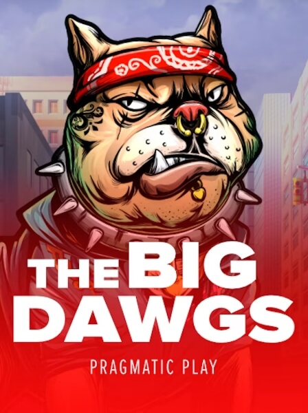 HighStakes Palace: Where Risk Meets Reward in Dramatic Fashion